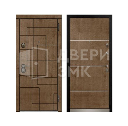 Дверь металлическая одностворчатая для дома с двумя замками ВД-13869