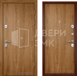 Дверь входная усиленная в коттедж ВД-10853