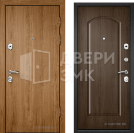 Дверь входная правая в дом ВД-6905