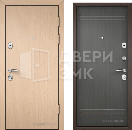 Дверь металлическая усиленная в коттедж ВД-10862