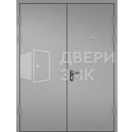 Дверь тамбурная в подъезд порошок — скелет ТД-16492