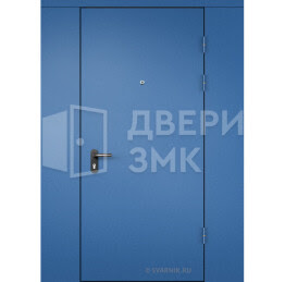 Дверь тамбурная глухая с перегородкой порошок — порошок ТД-16252