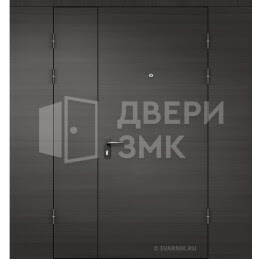 Дверь для дачи ТД-16463